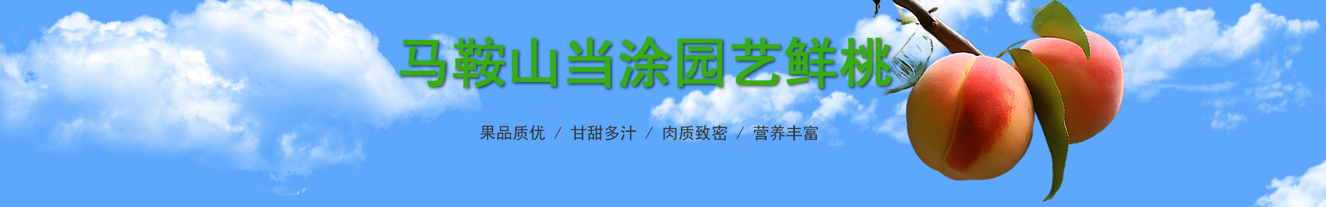 深馬供應(yīng)鏈